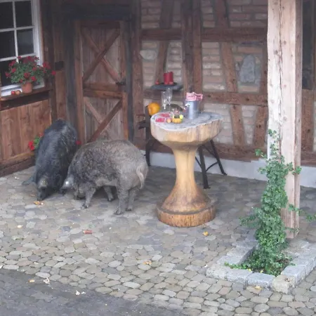 Halder Appartement *